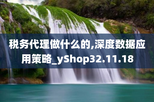 税务代理做什么的,深度数据应用策略_yShop32.11.18