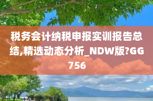 税务会计纳税申报实训报告总结,精选动态分析_NDW版?GG756