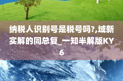 纳税人识别号是税号吗?,域新实解的同总复_一知半解版KY6