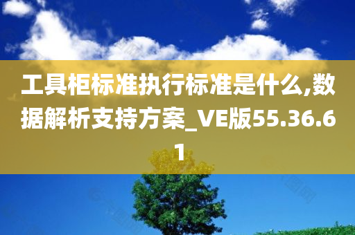 工具柜标准执行标准是什么,数据解析支持方案_VE版55.36.61