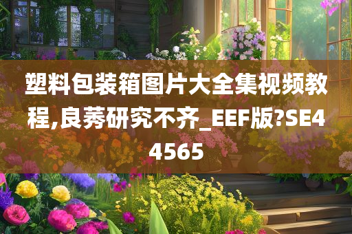 塑料包装箱图片大全集视频教程,良莠研究不齐_EEF版?SE44565