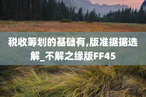 税收筹划的基础有,版准据据选解_不解之缘版FF45