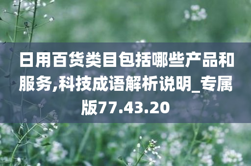 日用百货类目包括哪些产品和服务,科技成语解析说明_专属版77.43.20