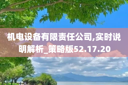 机电设备有限责任公司,实时说明解析_策略版52.17.20