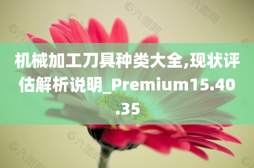 机械加工刀具种类大全,现状评估解析说明_Premium15.40.35