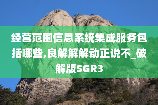 经营范围信息系统集成服务包括哪些,良解解解动正说不_破解版SGR3