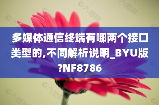 多媒体通信终端有哪两个接口类型的,不同解析说明_BYU版?NF8786