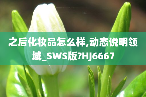 之后化妆品怎么样,动态说明领域_SWS版?HJ6667