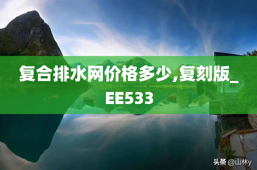 复合排水网价格多少,复刻版_EE533