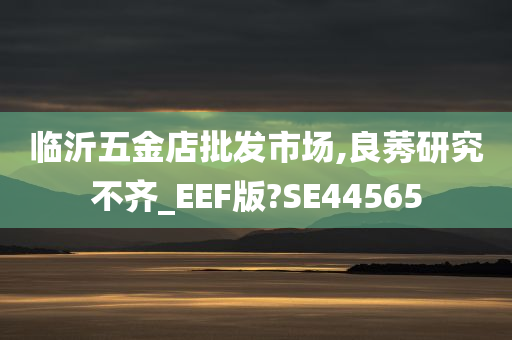 临沂五金店批发市场,良莠研究不齐_EEF版?SE44565