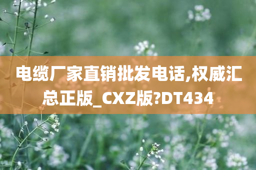 电缆厂家直销批发电话,权威汇总正版_CXZ版?DT434