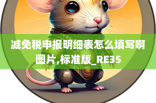 减免税申报明细表怎么填写啊图片,标准版_RE35