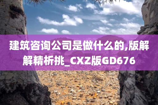 建筑咨询公司是做什么的,版解解精析挑_CXZ版GD676