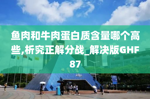 鱼肉和牛肉蛋白质含量哪个高些,析究正解分战_解决版GHF87