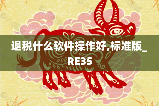 退税什么软件操作好,标准版_RE35