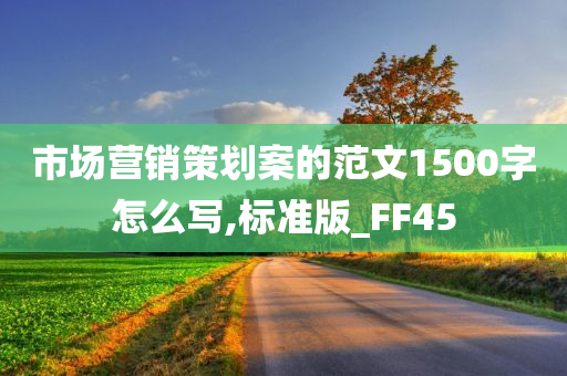 市场营销策划案的范文1500字怎么写,标准版_FF45