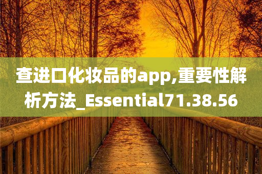 查进口化妆品的app,重要性解析方法_Essential71.38.56