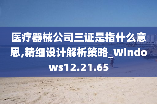 医疗器械公司三证是指什么意思,精细设计解析策略_Windows12.21.65