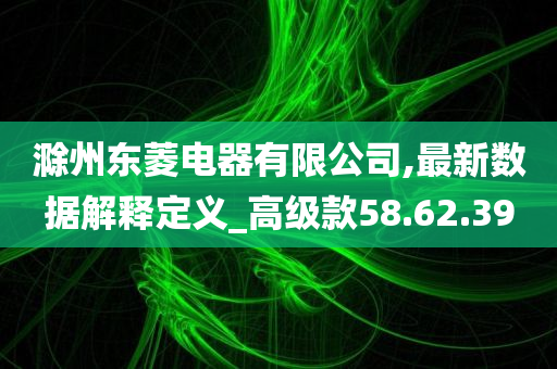 滁州东菱电器有限公司,最新数据解释定义_高级款58.62.39