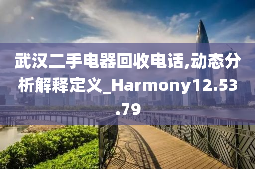 武汉二手电器回收电话,动态分析解释定义_Harmony12.53.79