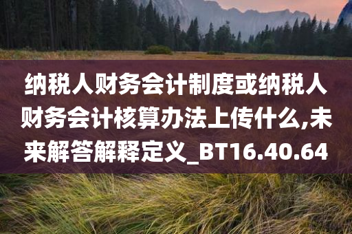 纳税人财务会计制度或纳税人财务会计核算办法上传什么,未来解答解释定义_BT16.40.64