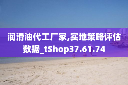 润滑油代工厂家,实地策略评估数据_tShop37.61.74