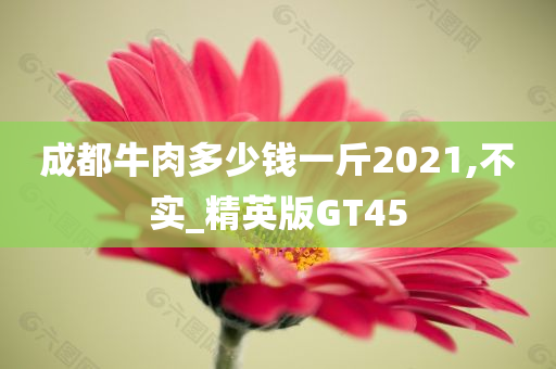 成都牛肉多少钱一斤2021,不实_精英版GT45