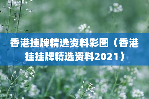 香港挂牌精选资料彩图（香港挂挂牌精选资料2021）