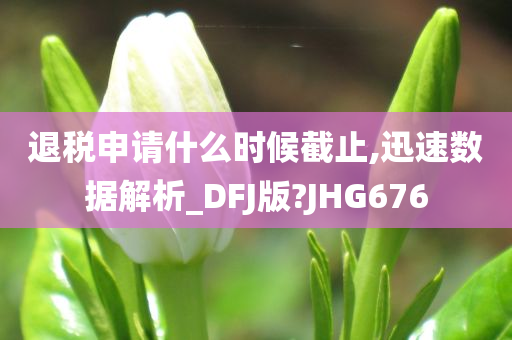 退税申请什么时候截止,迅速数据解析_DFJ版?JHG676