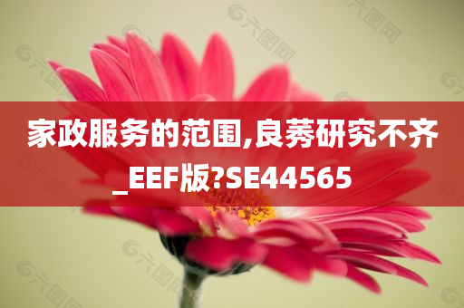 家政服务的范围,良莠研究不齐_EEF版?SE44565