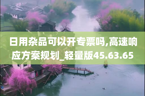 日用杂品可以开专票吗,高速响应方案规划_轻量版45.63.65