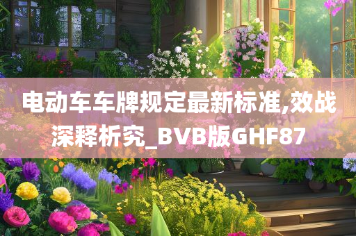 电动车车牌规定最新标准,效战深释析究_BVB版GHF87