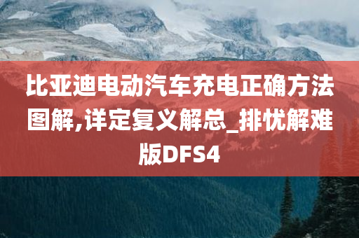 比亚迪电动汽车充电正确方法图解,详定复义解总_排忧解难版DFS4