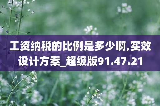 工资纳税的比例是多少啊,实效设计方案_超级版91.47.21