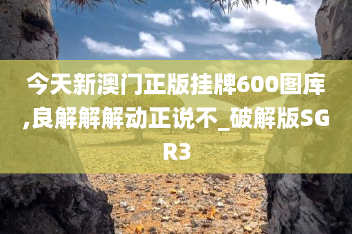 今天新澳门正版挂牌600图库,良解解解动正说不_破解版SGR3