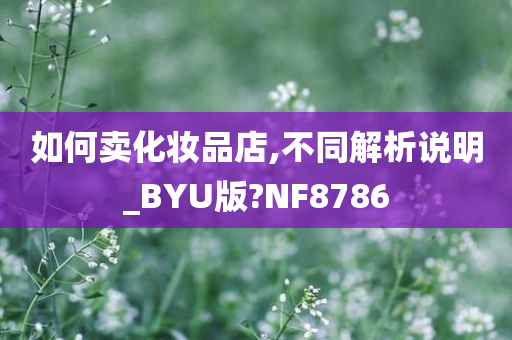 如何卖化妆品店,不同解析说明_BYU版?NF8786