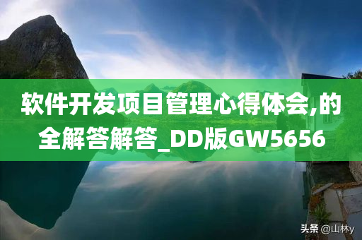 软件开发项目管理心得体会,的全解答解答_DD版GW5656