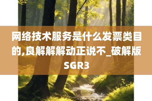 网络技术服务是什么发票类目的,良解解解动正说不_破解版SGR3