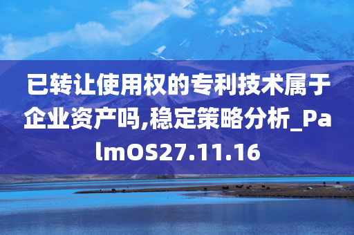 已转让使用权的专利技术属于企业资产吗,稳定策略分析_PalmOS27.11.16