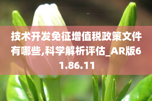 技术开发免征增值税政策文件有哪些,科学解析评估_AR版61.86.11