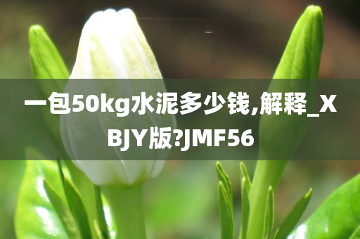 一包50kg水泥多少钱,解释_XBJY版?JMF56