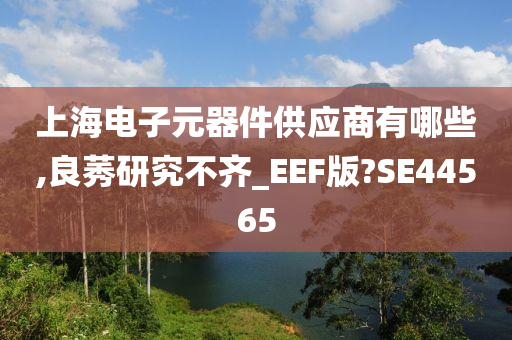 上海电子元器件供应商有哪些,良莠研究不齐_EEF版?SE44565