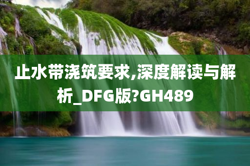 止水带浇筑要求,深度解读与解析_DFG版?GH489