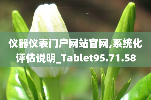 仪器仪表门户网站官网,系统化评估说明_Tablet95.71.58