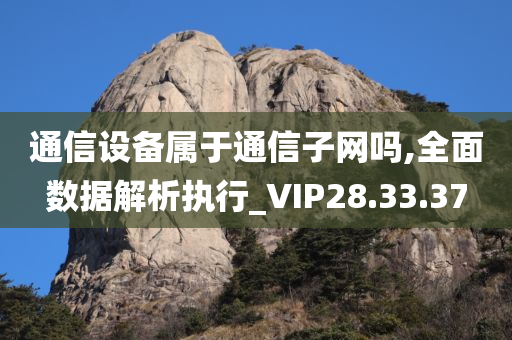 通信设备属于通信子网吗,全面数据解析执行_VIP28.33.37