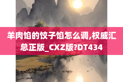 羊肉馅的饺子馅怎么调,权威汇总正版_CXZ版?DT434