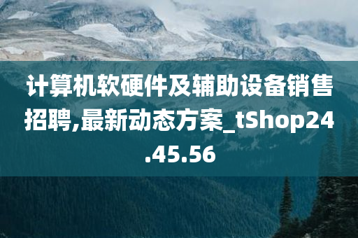 计算机软硬件及辅助设备销售招聘,最新动态方案_tShop24.45.56