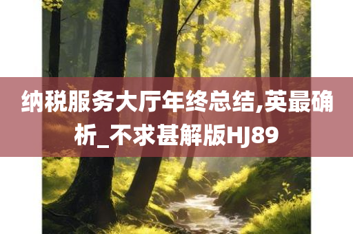 纳税服务大厅年终总结,英最确析_不求甚解版HJ89