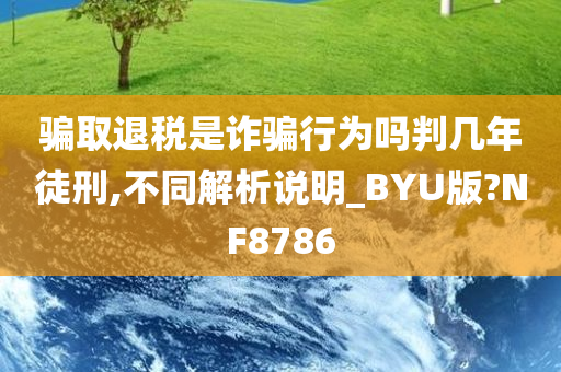 骗取退税是诈骗行为吗判几年徒刑,不同解析说明_BYU版?NF8786