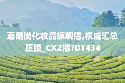 蘑菇街化妆品旗舰店,权威汇总正版_CXZ版?DT434